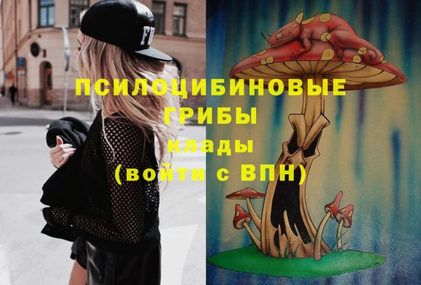 первитин Абаза
