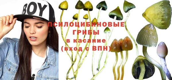 каннабис Абинск